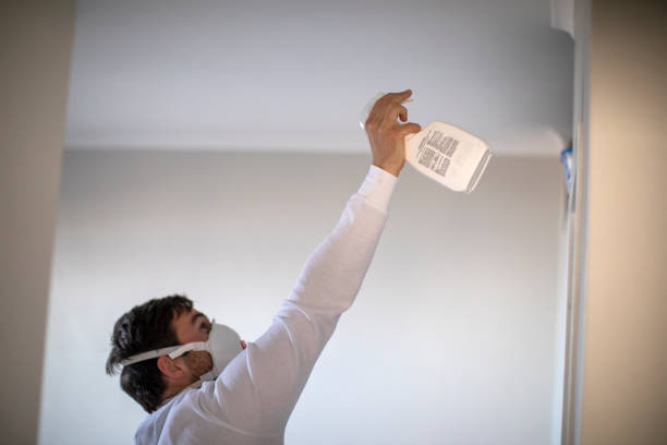 Best Professional Mold Removal  in Lake Lifornia, CA