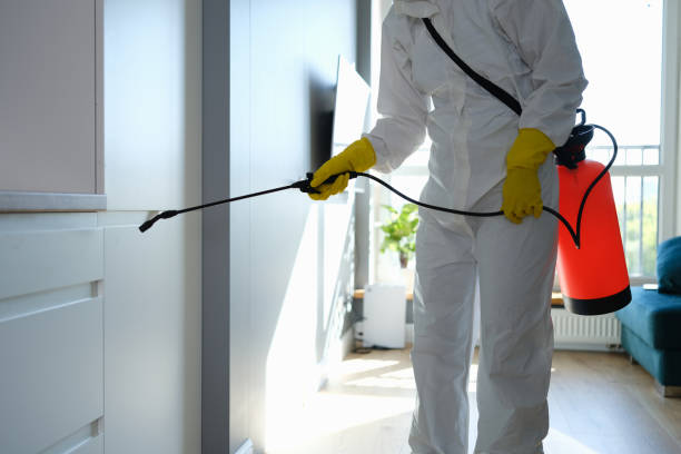 Best Toxic Mold Removal  in Lake Lifornia, CA