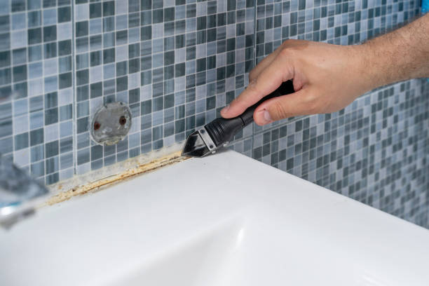 Best Fast Mold Removal  in Lake Lifornia, CA